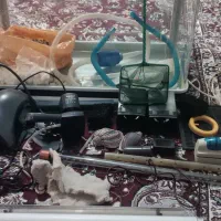 آکواریم شیشه ای