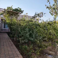 اجاره خانه باغ مهریز|اجارهٔ کوتاهمدت ویلا و باغ|یزد, |دیوار