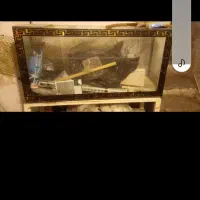 آکواریوم با وسایل|ماهی|تهران, دستغیب|دیوار