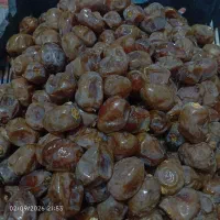 خرمای برحی درجه یک
