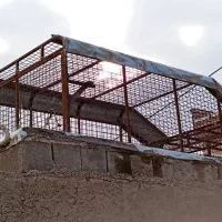 باربند وانت|قطعات یدکی و لوازم جانبی|مهران (ایلام), |دیوار