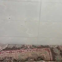 فرش رنگ لاکی