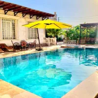 تولیدی چتر کردان|عمدهفروشی|رشت, دروازه لاکان|دیوار