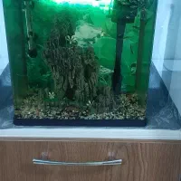 آکواریوم با لوازم کامل و ماهی