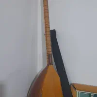 باغلاما ترک وارداتی