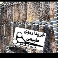 خرید و فروش موی طبیعی درهمدان خریدار مو