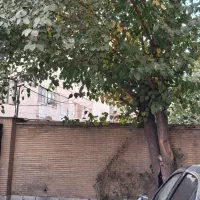 واحدهای-85و92و113متری-پیش-فروش-سرمایه-گذاری