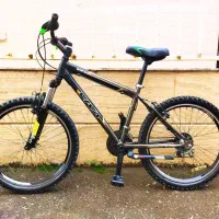 دوچرخه حرفه ای ویوا 24