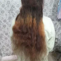 خریدارمو