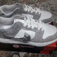 کتونی دارگون سایز43