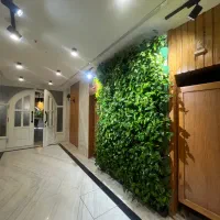 طراحی و اجرای فضای سبز مدرن دیوار سبز و بام سبز