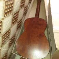 گیتار کلاسیک معاوضه با طوطی سان یا لوازم خانگی نو|گیتار، بیس، امپلیفایر|شیراز, لب آب|دیوار
