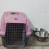 باکس سگ سایز 3