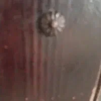 بشکه بار چوبی کمیاب|مبلمان خانگی و میز عسلی|کاشان, گبرها|دیوار