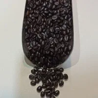 پخش مستقیم قهوه و برشته کاری خان