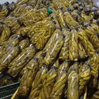 خیارشور|خوردنی و آشامیدنی|شیراز, گلدشت معالی‌آباد|دیوار