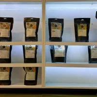 انواع دان قهوه عمده