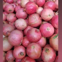 انار درجه یک سری اول