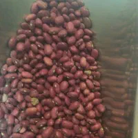 انواع حبوبات ایرانی وخارجی وبرنج کامفیروزی|خوردنی و آشامیدنی|شیراز, شیشهگری|دیوار