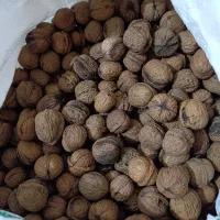 گردو|خوردنی و آشامیدنی|اهواز, کوی رمضان|دیوار