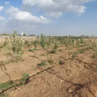 1000مترفروش-آبسرد