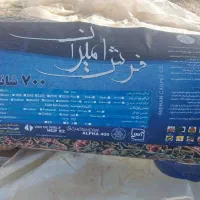 یک جفت فرش ۱۲ متری|فرش|چناران, |دیوار