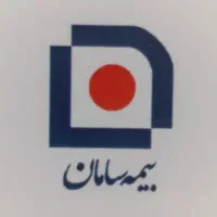 کارشناس و مدیر فروش شرکت بیمه سامان