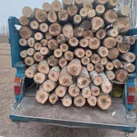 خرید چوب درخت قلمه،ضایعات میوه و چوب دام|خدمات باغبانی و درختکاری|خوی, |دیوار