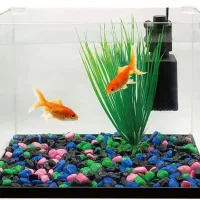 دو عدد آکواریوم قیمت مناسب