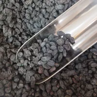 مویز درجه یک