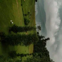 تشریفات مجالس عروس|خدمات پذیرایی، مراسم|رشت, حمیدیان|دیوار