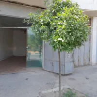 اجاره مغازه ۴۰ متری در کوزه گری|اجارهٔ مغازه و غرفه|شیراز, کوزه گری|دیوار