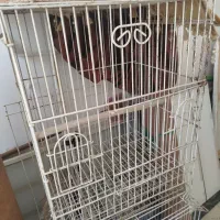 قفس پرنده،شیشه هود،گلدان چوبی،تنگ ماهی،سبد حصیری