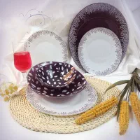 آرکوپال ۲۶ پارچ ۶ نفره|ظروف سرو و پذیرایی|شیراز, شاهچراغ|دیوار