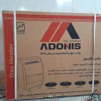 بخاری آدنیس ۱۲۰۰۰