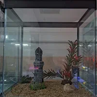 شیشه خم شرکتی دکور شده AQUA SEYF ماهی/آکواریوم|ماهی|زنجان, |دیوار