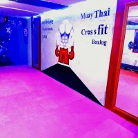 اموزش خصوصی بوکس،موای تای ،ووشوساندا ،ام ام ای|خدمات آموزشی|مشهد, رضاشهر|دیوار