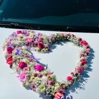 اجاره خودرو کلید تحویل|خودرو اجاره‌ای|بوشهر, |دیوار