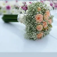 راهنمایی سریع