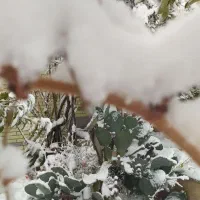 گردشگری و طبیعت گردی بانوان