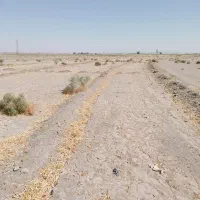 زمین-باغی