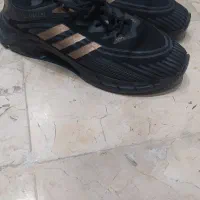 کفش اسپرت پسرانه