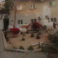 یک نفر همخانه