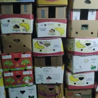 ۶۰ عدد کارتن موزی