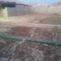 کود گوسفندی تخته