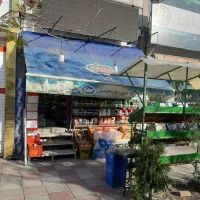 تابلو LED فول کالر تمام رنگی|فروشگاه و مغازه|پرند, فاز ۴|دیوار