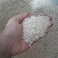 برنج هاشمی درجه یک