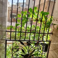 ۷۳متر/فول امکانات/تکواحدی|اجارهٔ آپارتمان|تهران, دانشگاه شریف|دیوار