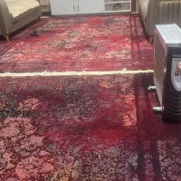 زرشکی آبرنگی لاکی حسینی آزادی