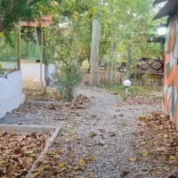 کار در کافه رستوران سنتی